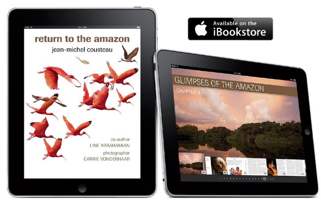 ReturnTotheAmazonCover